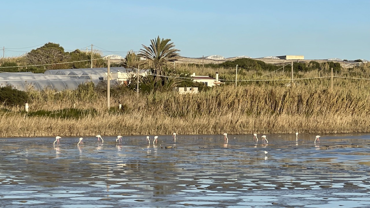 Photo of Others in Portopalo di Capo Passero