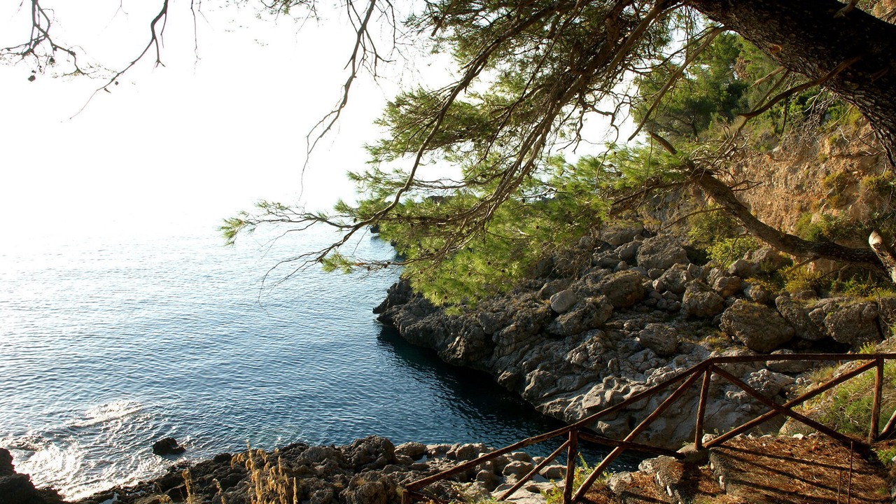 Photo of Others in Maratea