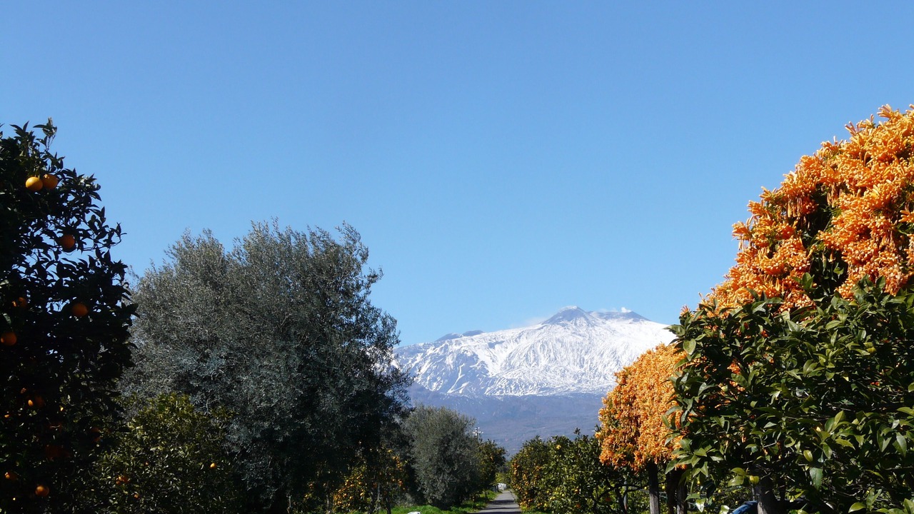 Photo of Outdoor in Carruba