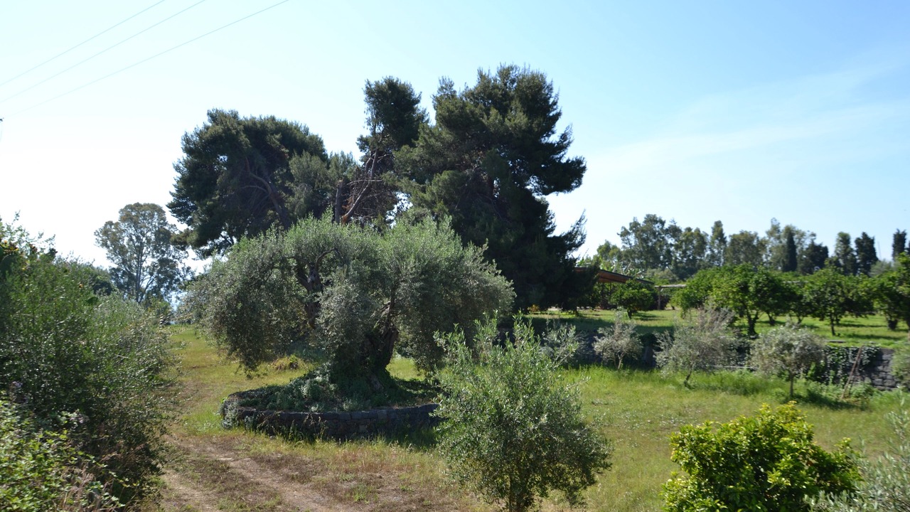 Photo of Outdoor in Carruba