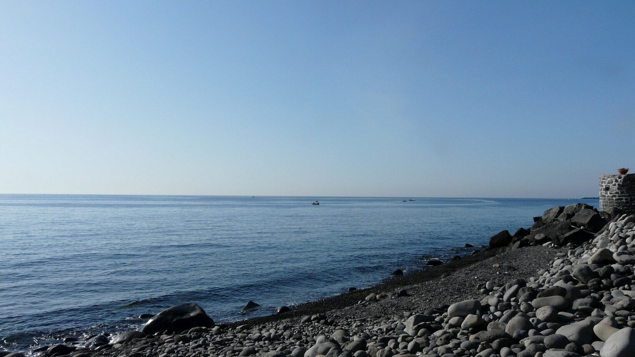 Photo of Others in Carruba