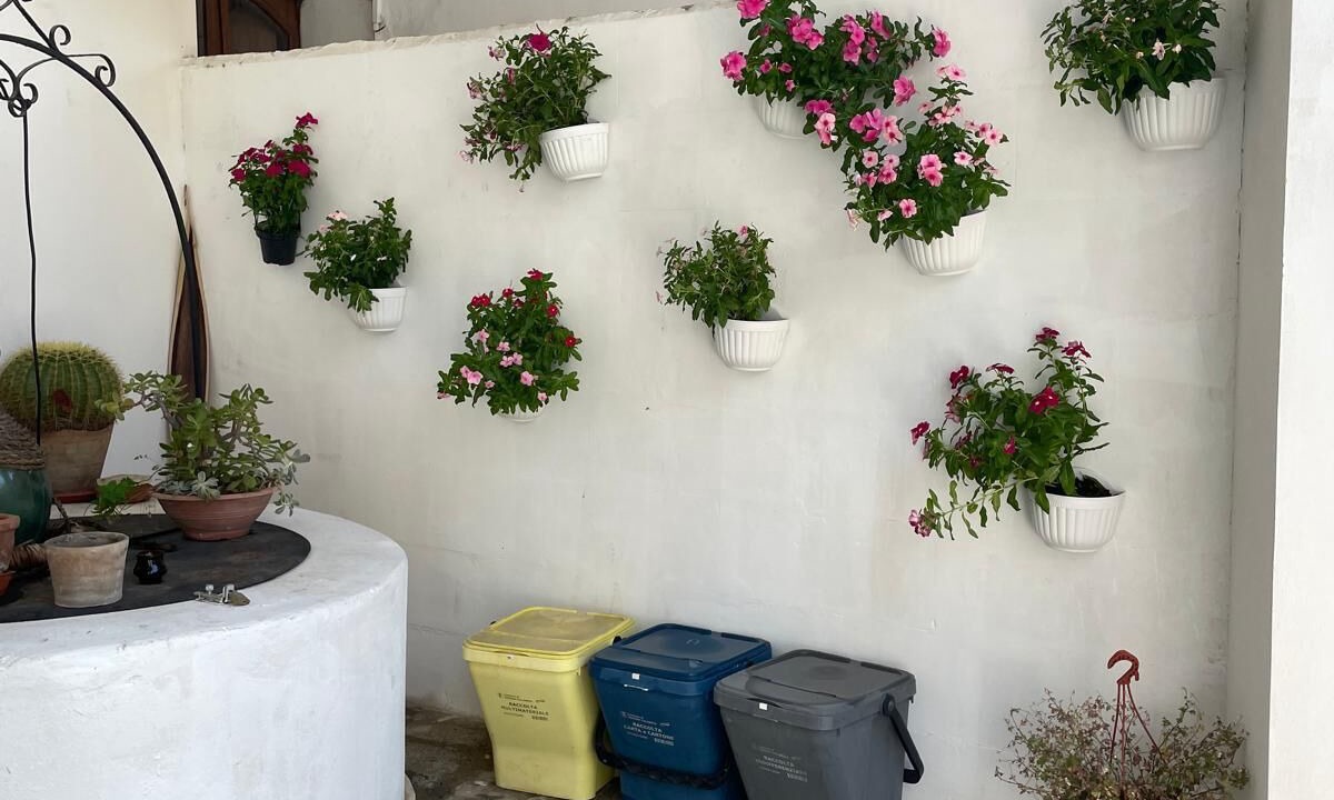 Photo of Outdoor in Catona