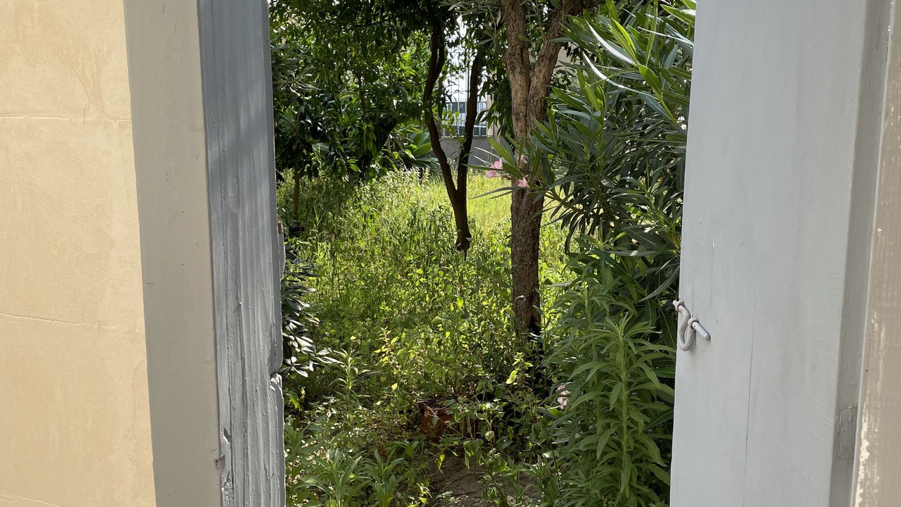 Photo of Outdoor in Catona