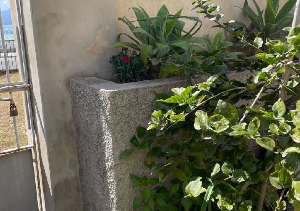 Photo of Outdoor in Catona