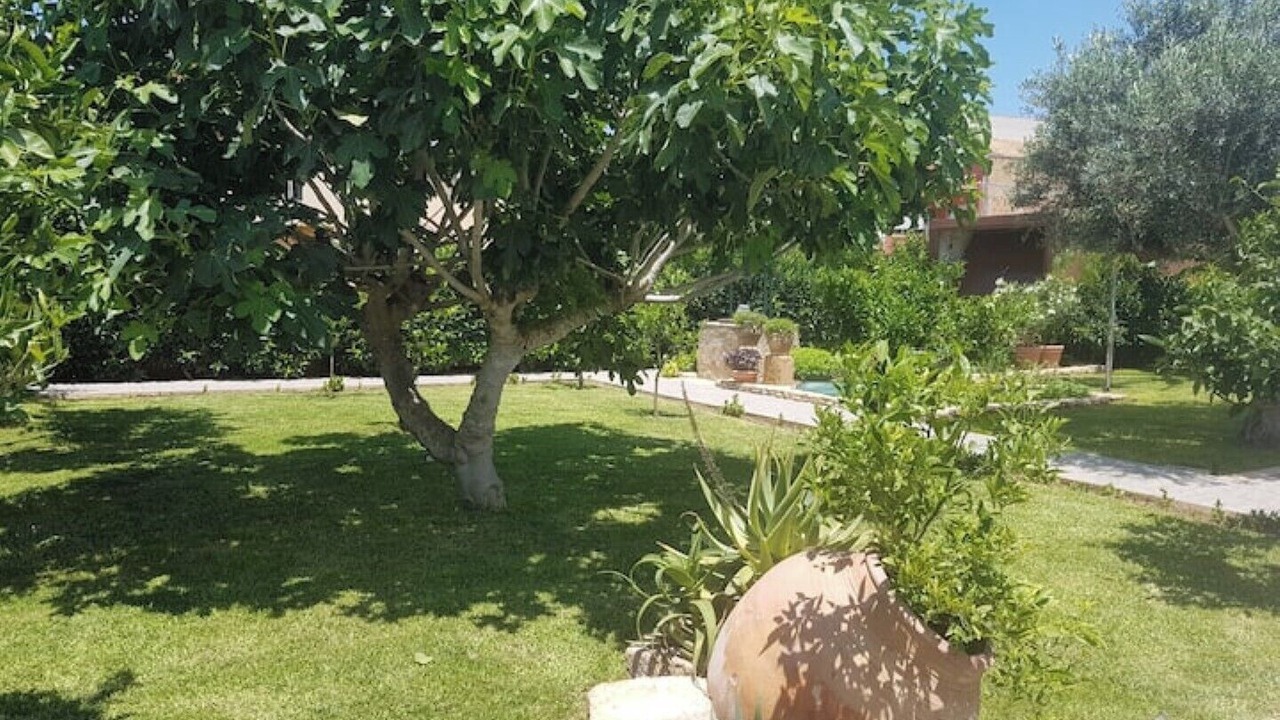 Photo of Outdoor in Marausa