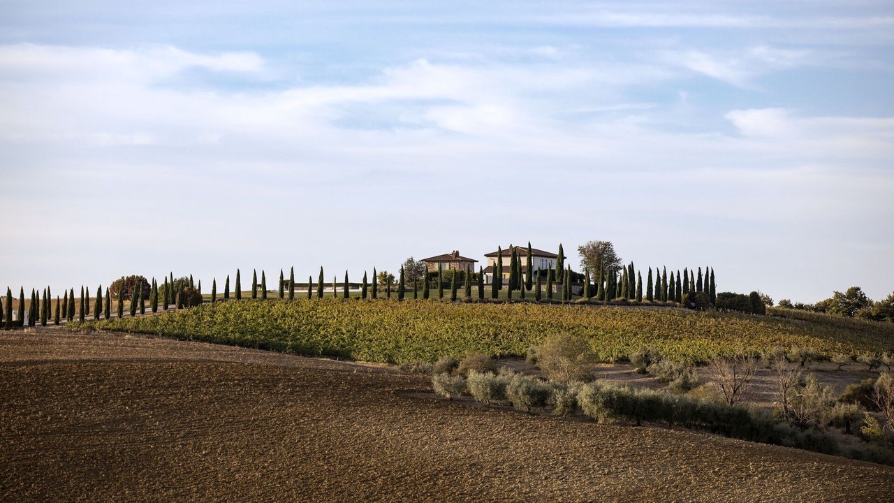 Photo of Outdoor in San Venanzo