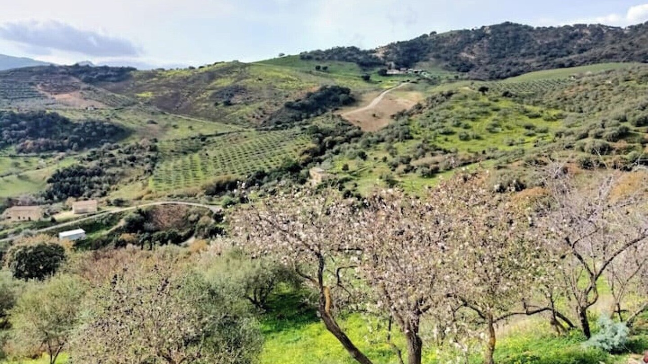 Photo of Outdoor in Caccamo