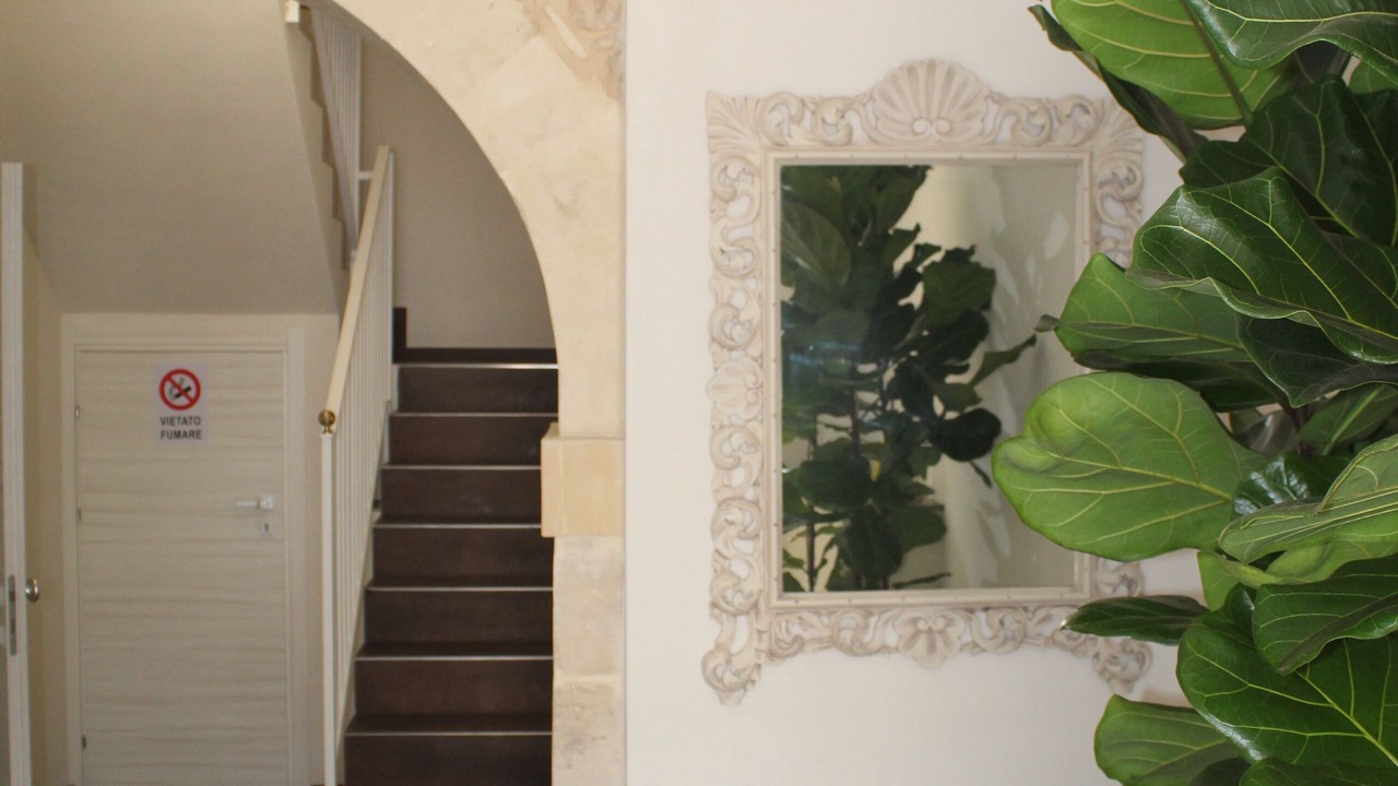 Photo of Others in Casa Papa