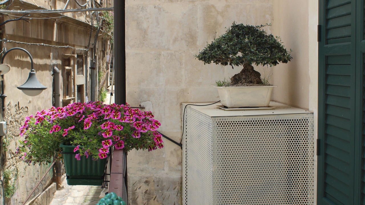 Photo of Outdoor in Casa Papa