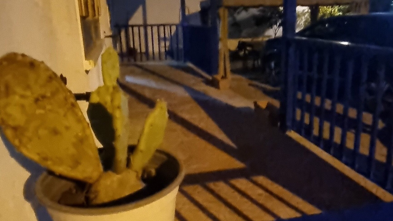 Photo of Outdoor in Palmi
