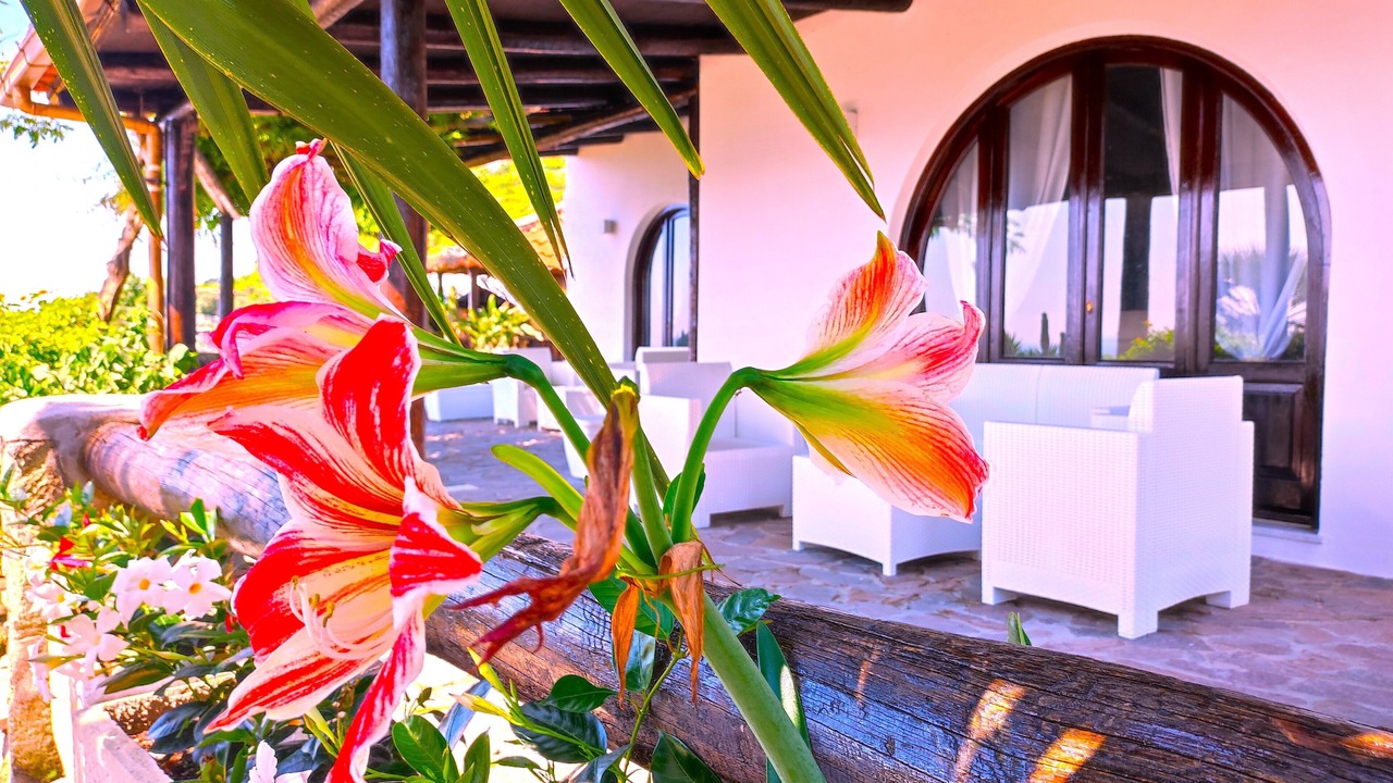 Photo of Outdoor in Forio