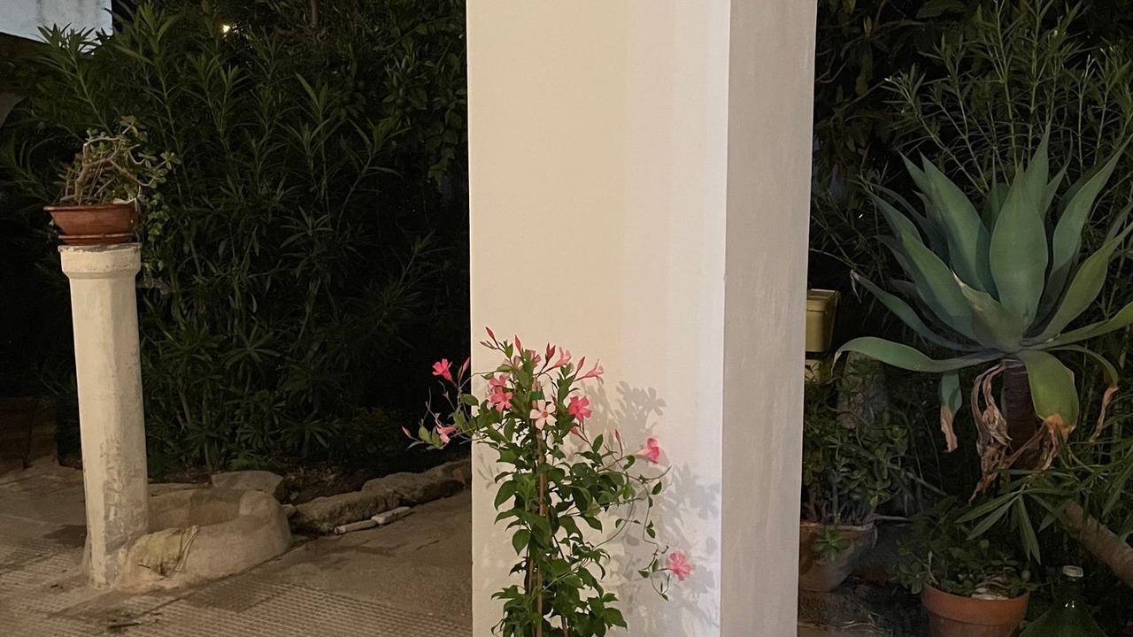 Photo of Outdoor in Catona