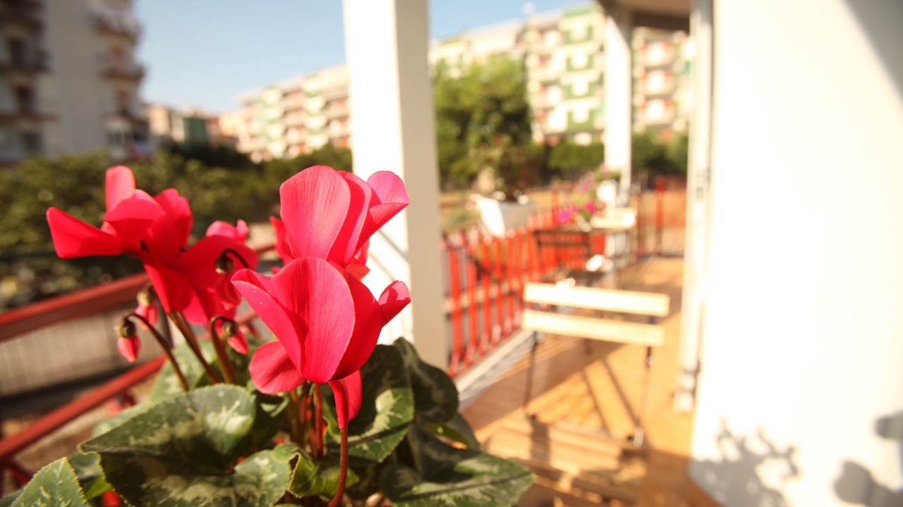 Photo of Outdoor in Ercolano