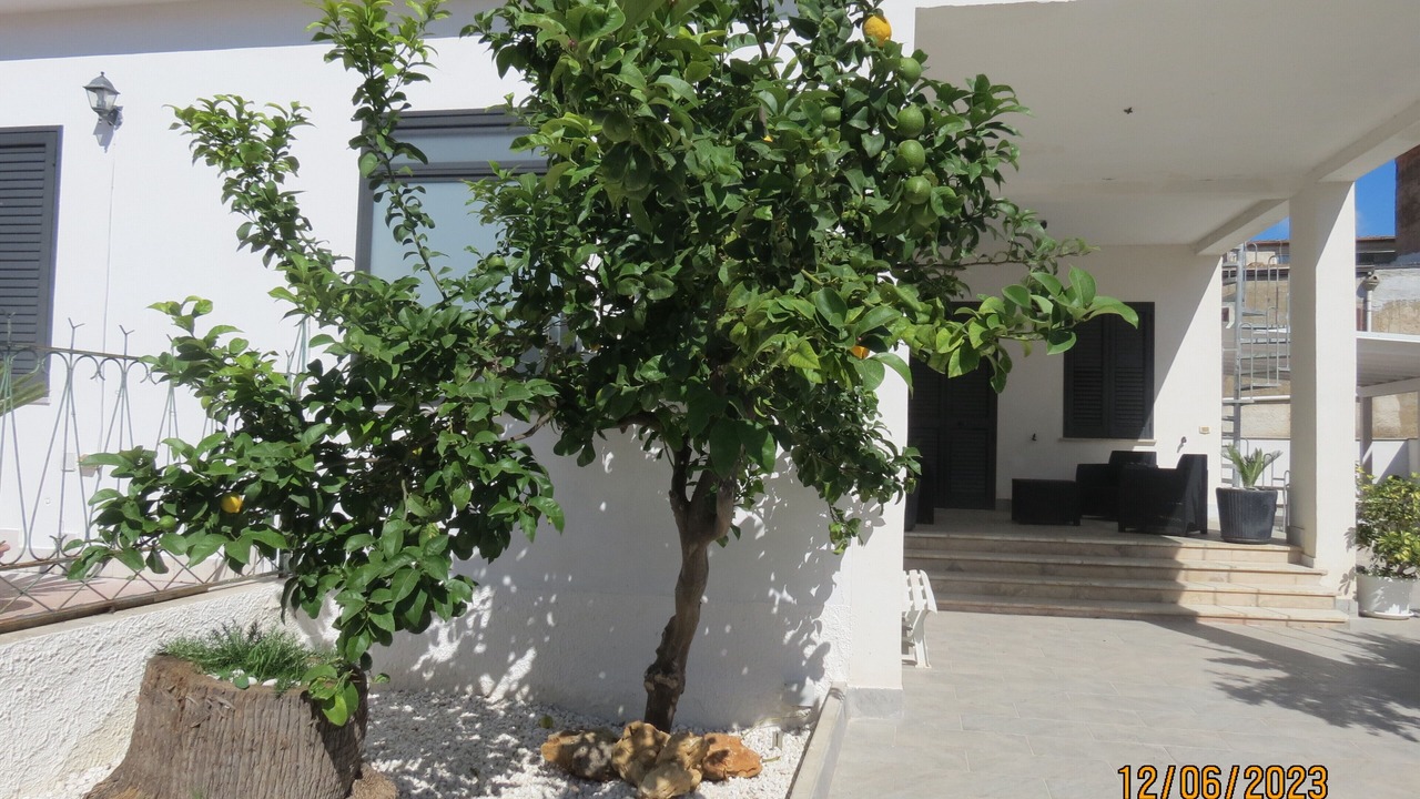 Photo of Outdoor in Marinella di Selinunte