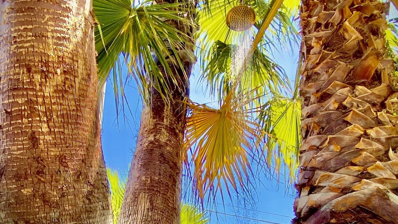 Photo of Outdoor in Noto Marina