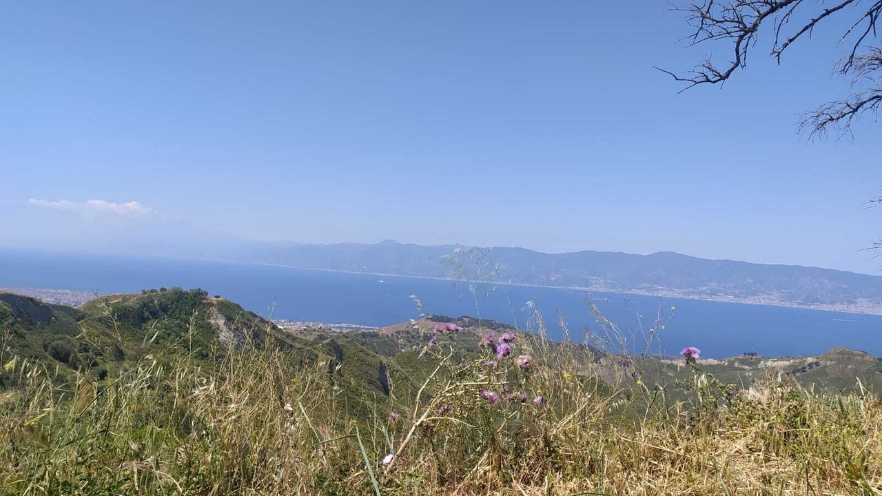 Photo of Others in Reggio Calabria