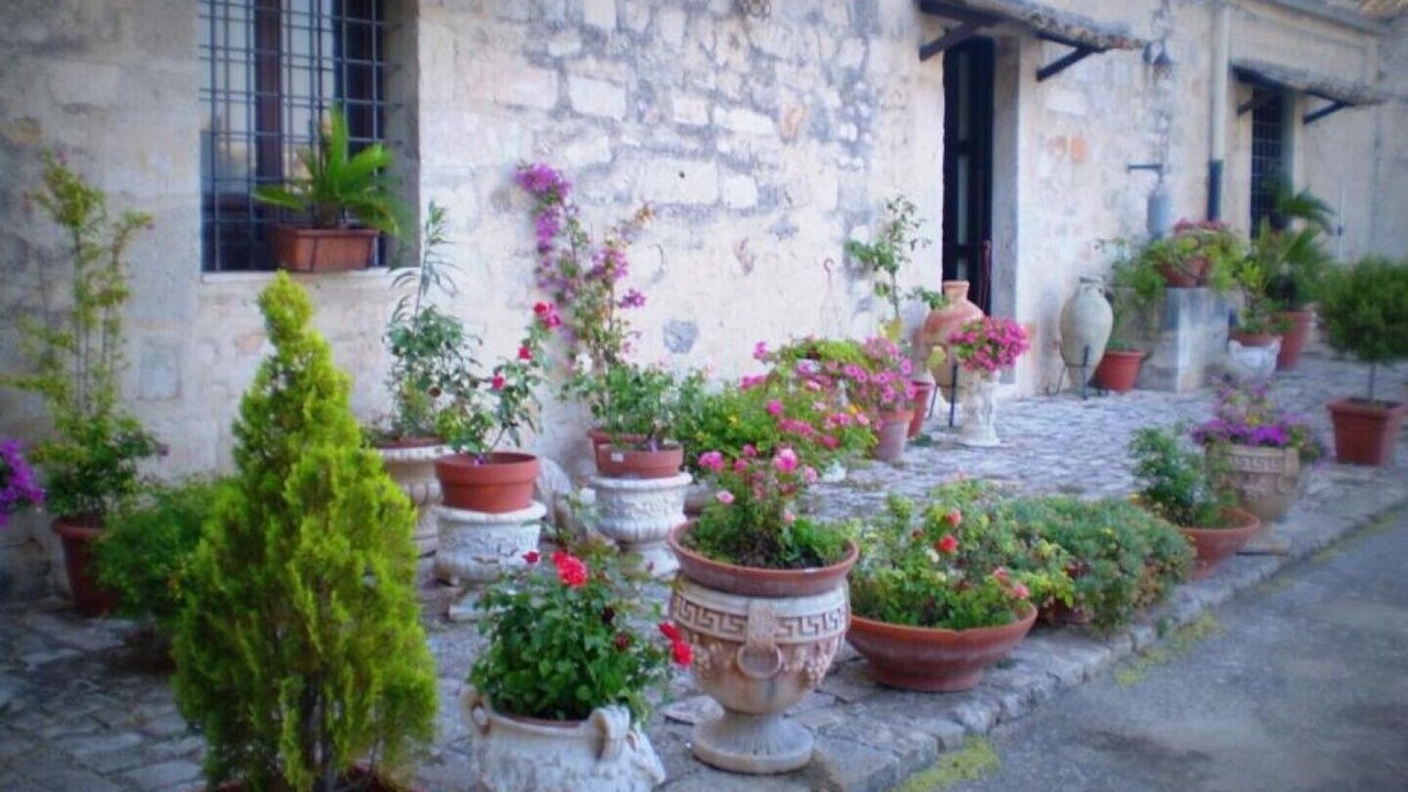 Photo of Outdoor in Casa Papa