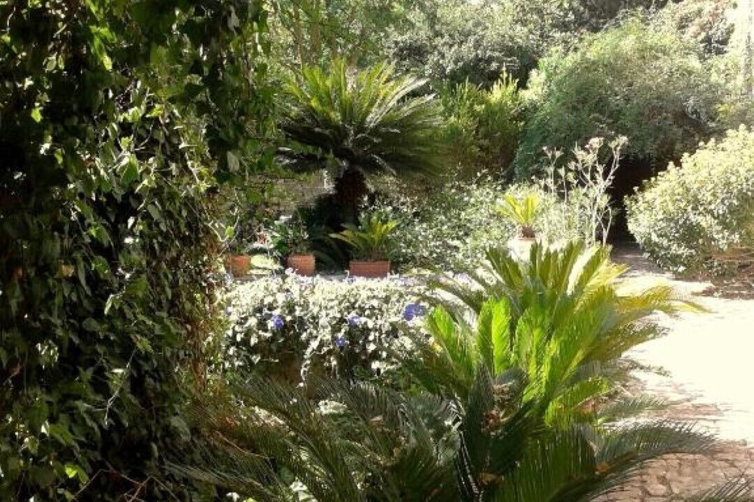 Photo of Outdoor in Casa Papa