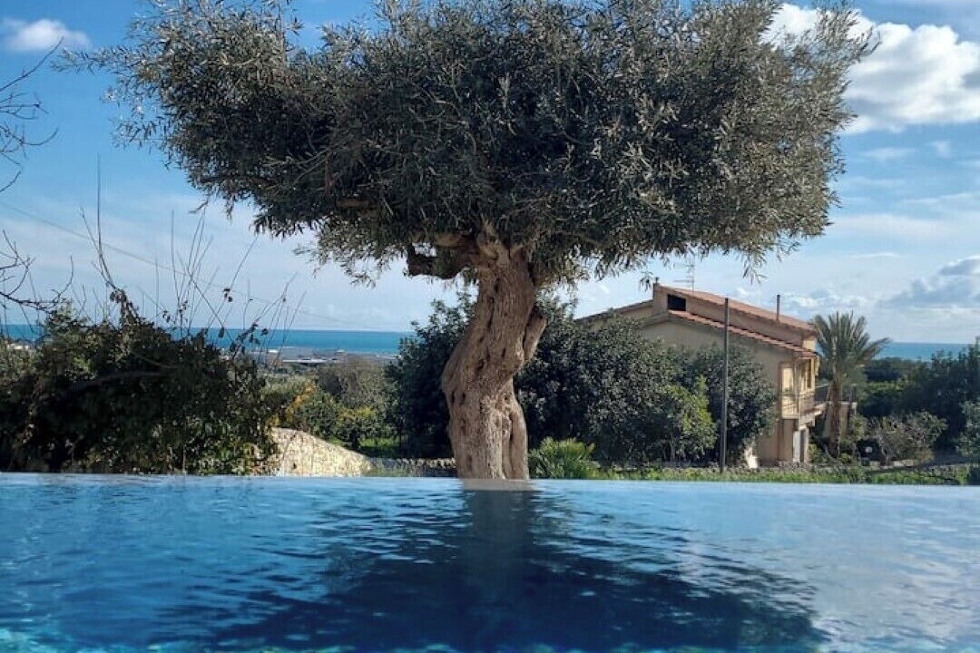 Photo of Outdoor in Casa Papa