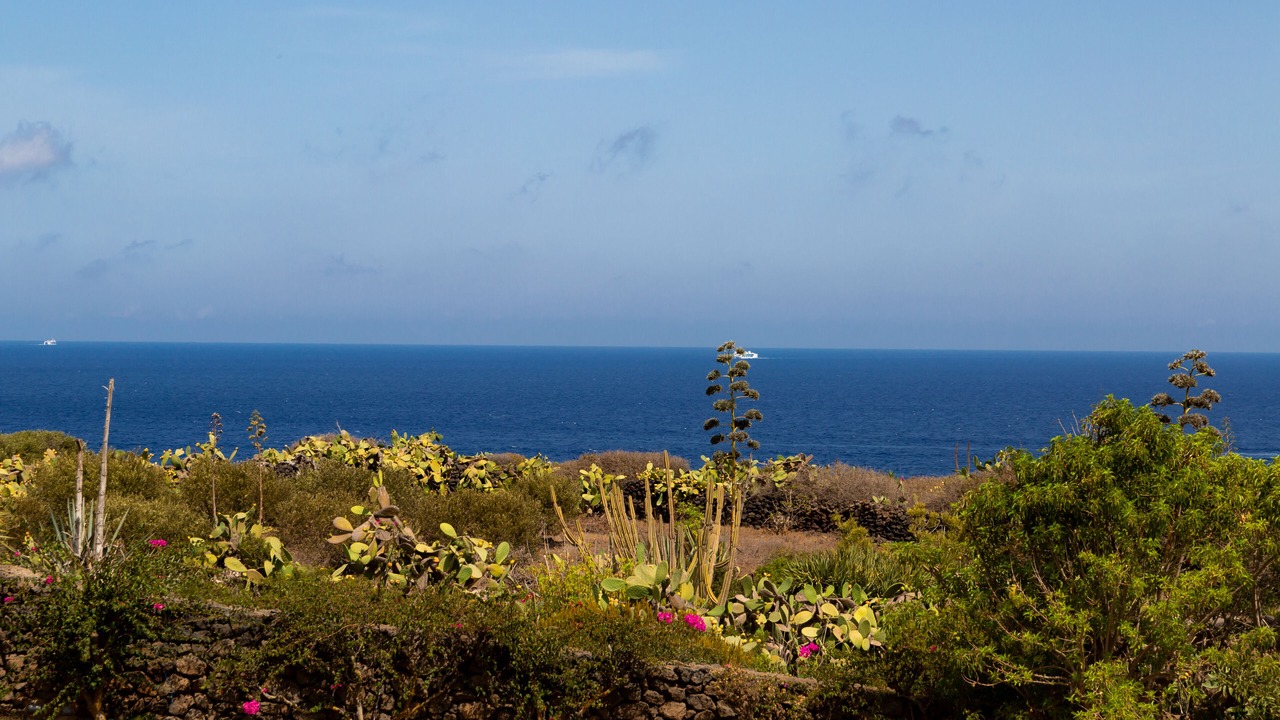 Photo of Others in Pantelleria
