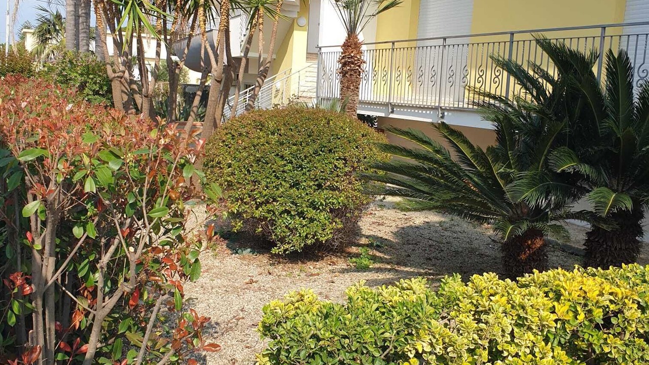 Photo of Outdoor in Venetico