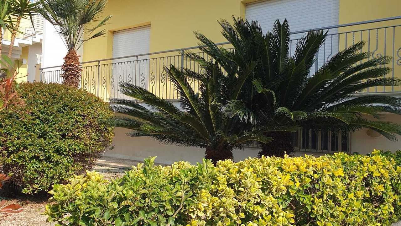 Photo of Outdoor in Venetico