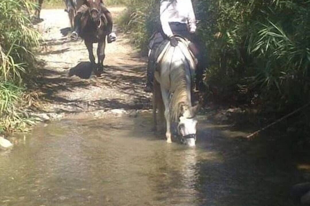 Photo of Others in Casal Velino