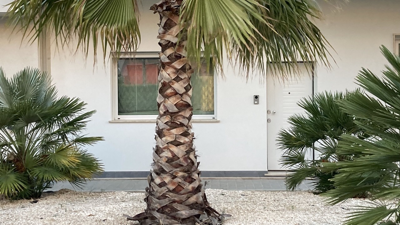 Photo of Outdoor in Leonforte