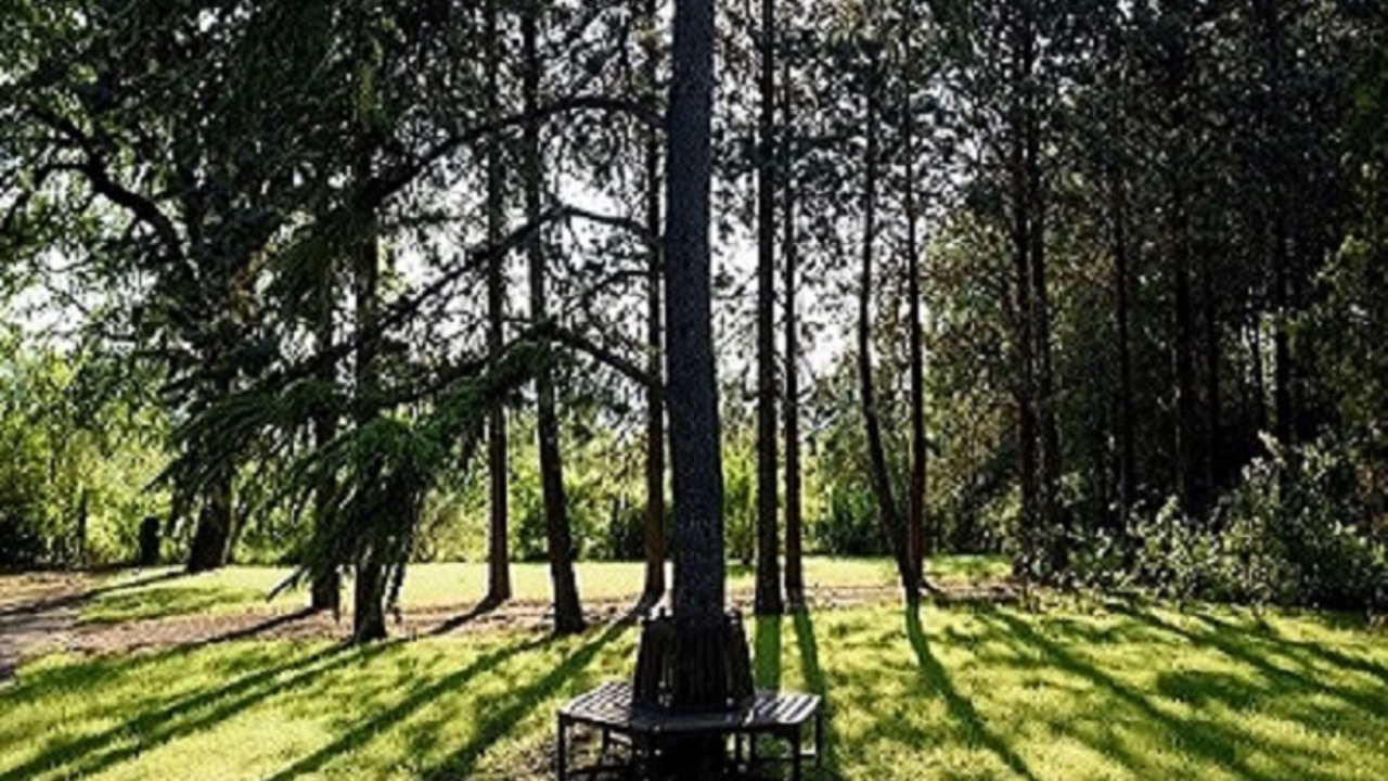 Photo of Outdoor in Po' Bandino