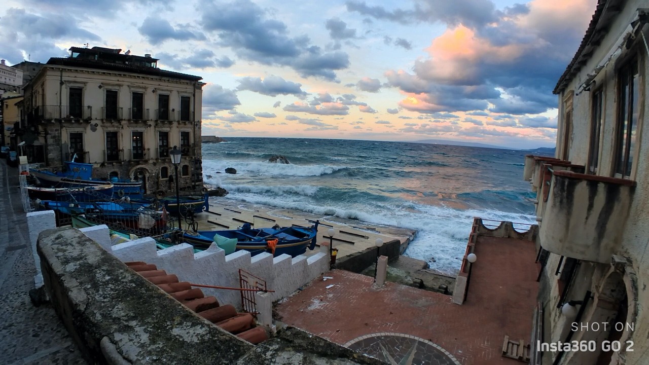 Photo of Others in Scilla