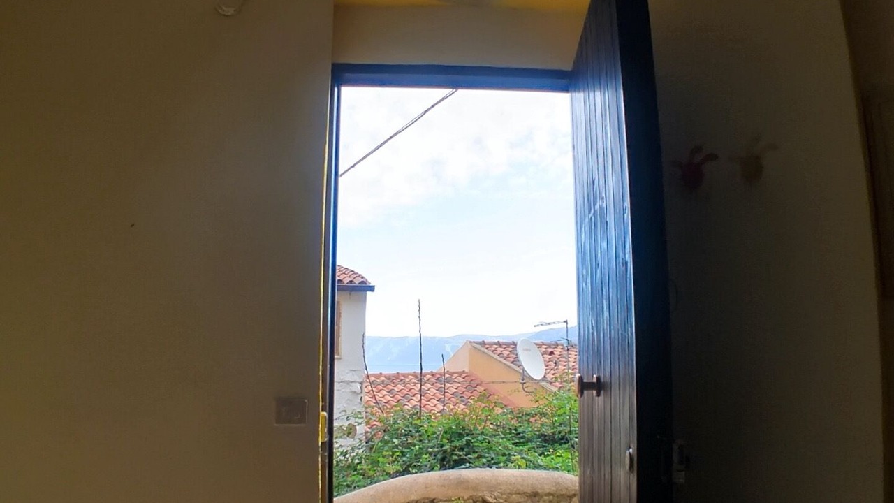Photo of Others in Scilla