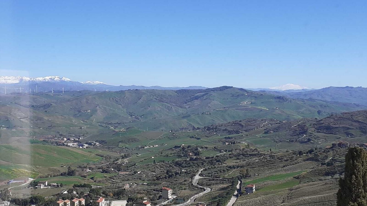 Photo of Others in Cammarata