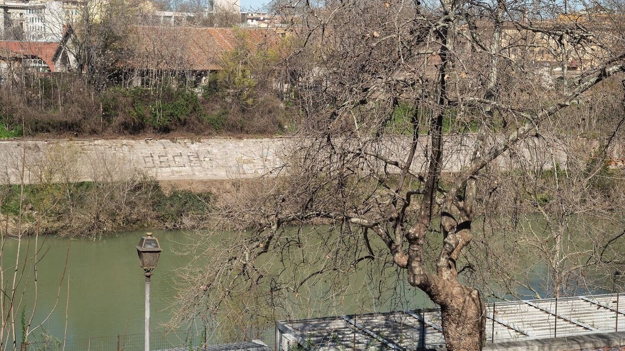 Photo of Others in Testaccio