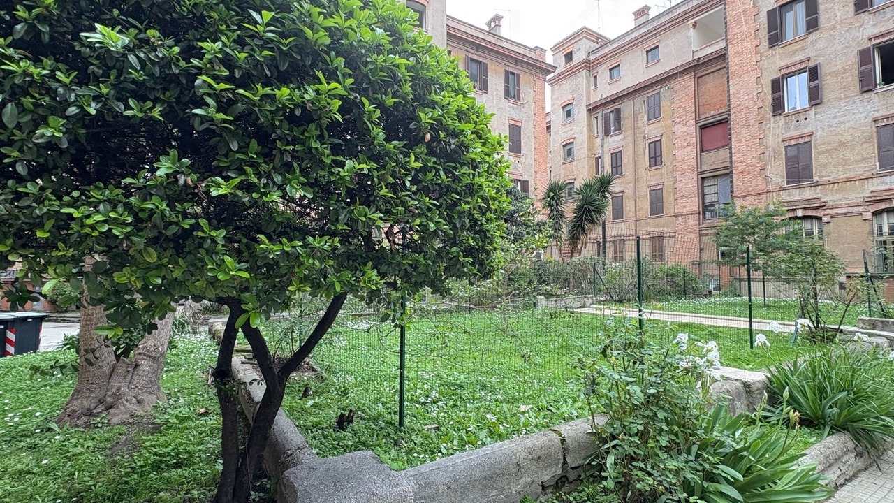 Photo of Outdoor in Testaccio