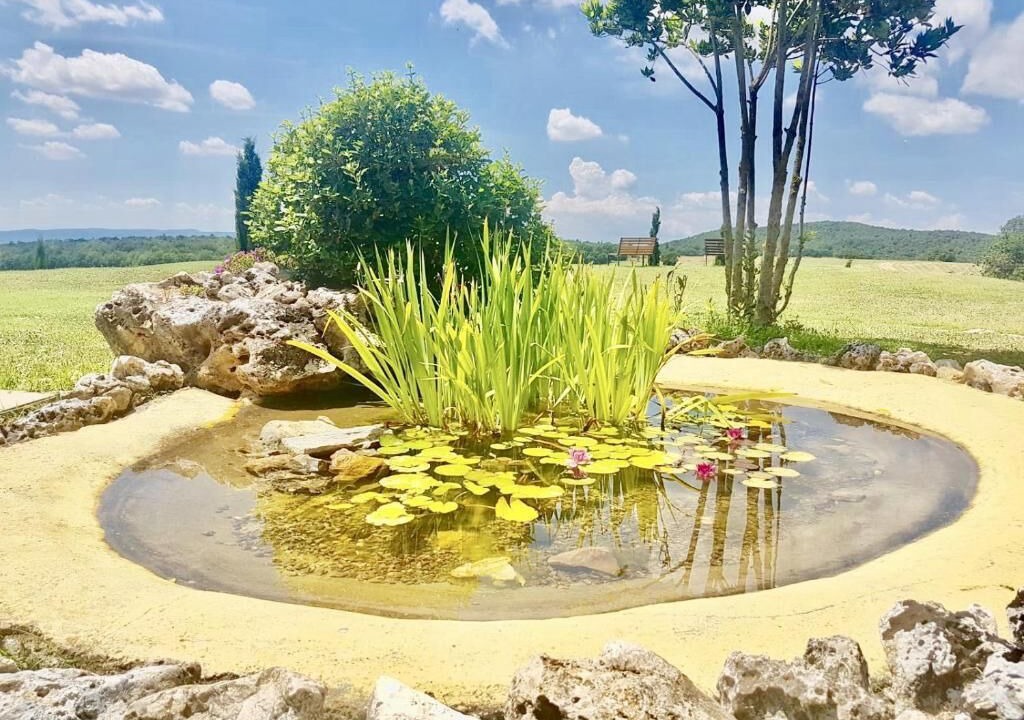 Photo of Outdoor in Trequanda