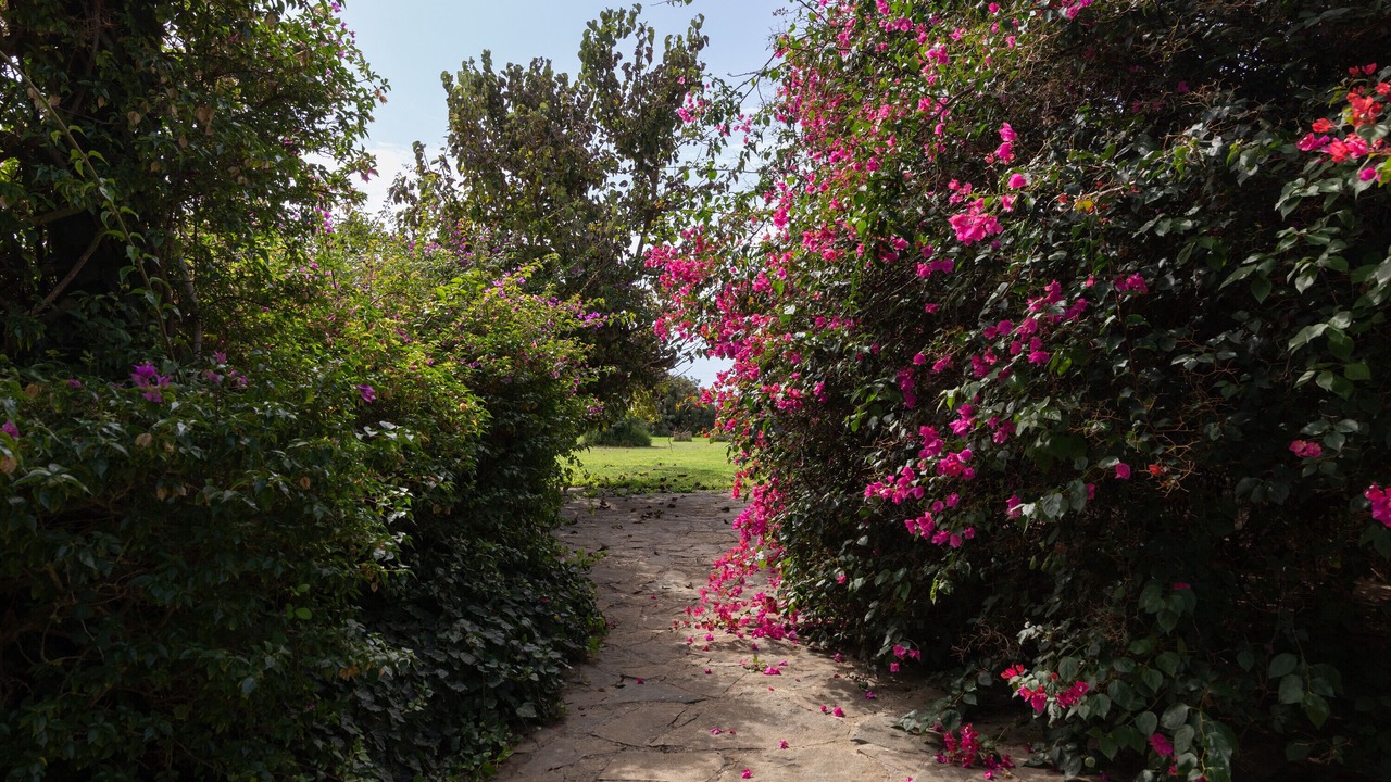 Photo of Outdoor in Porticalazzo