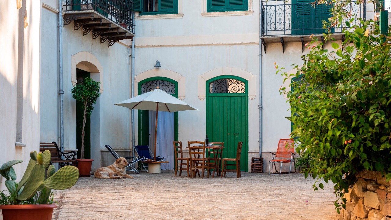 Photo of Outdoor in Castellammare del Golfo