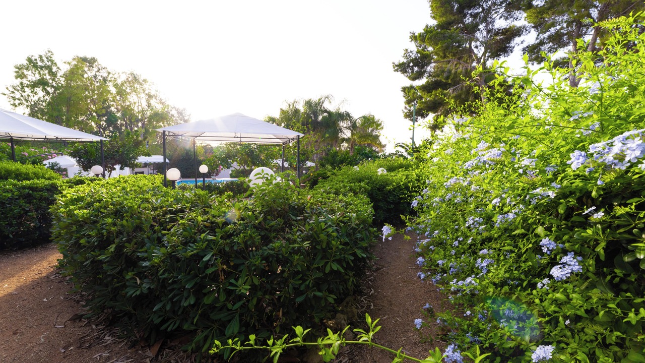 Photo of Outdoor in Marsala