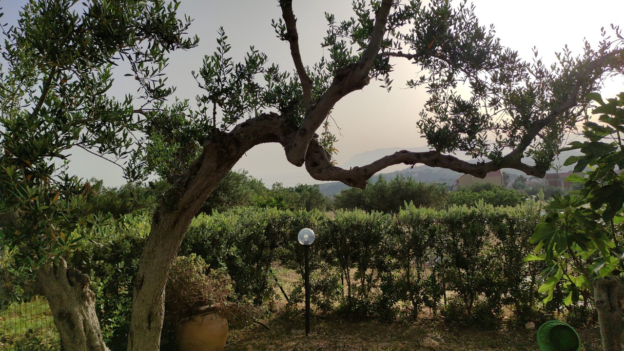 Photo of Outdoor in Castellammare del Golfo