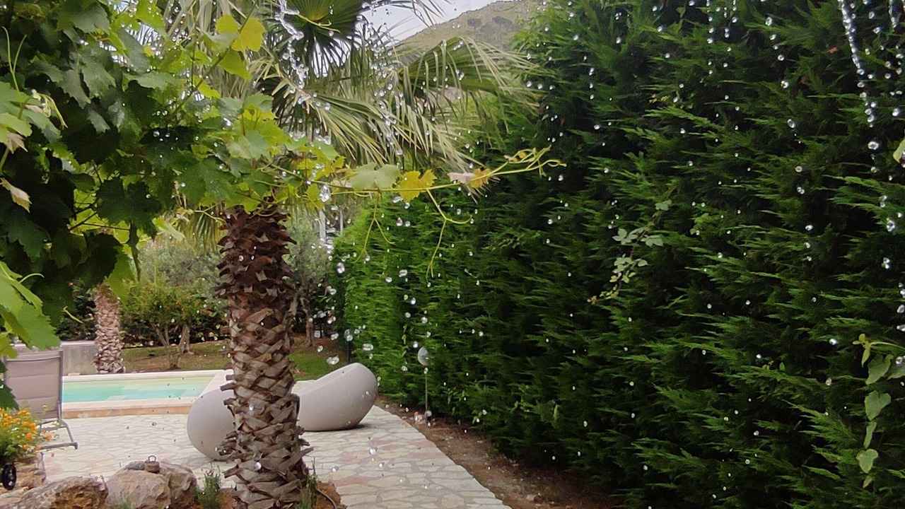Photo of Outdoor in Castellammare del Golfo