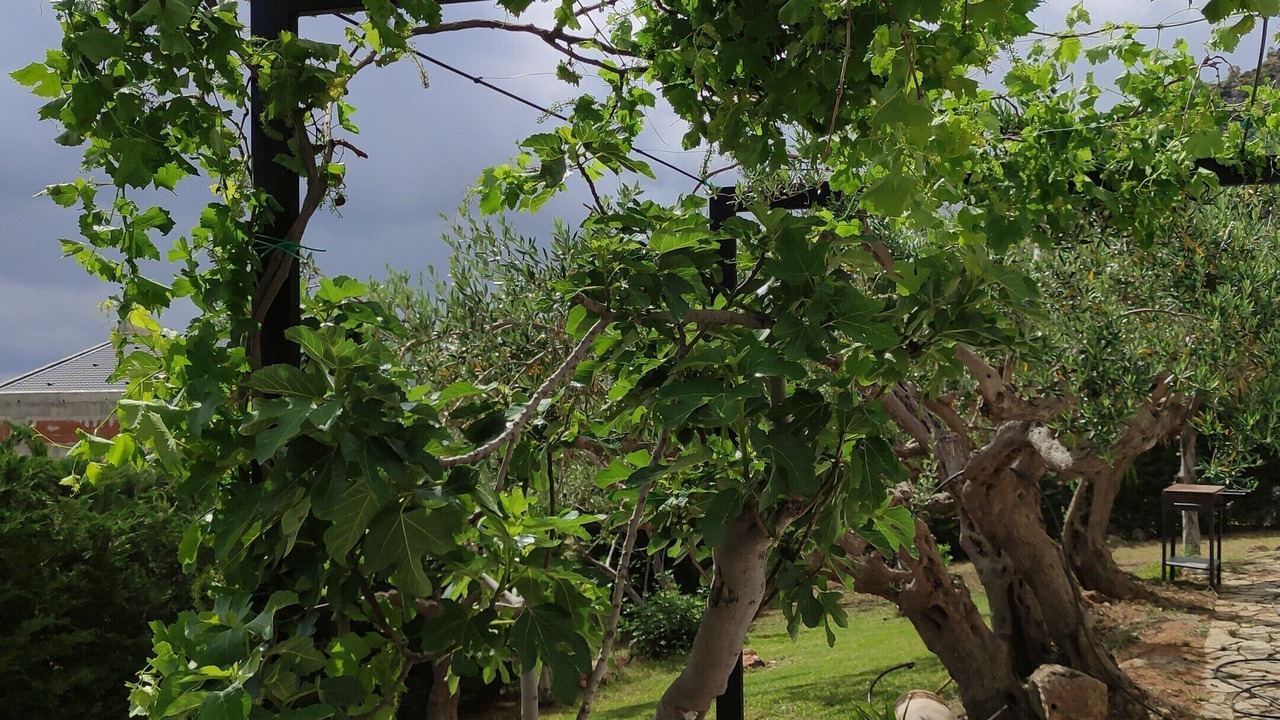 Photo of Outdoor in Castellammare del Golfo