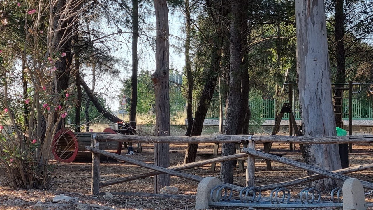 Photo of Outdoor in Galatone
