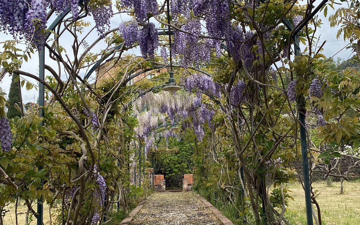 Photo of Outdoor in Viagrande