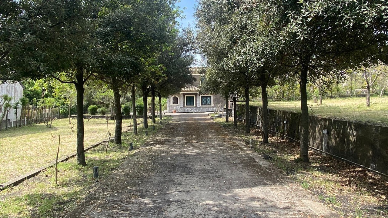 Photo of Outdoor in Viagrande
