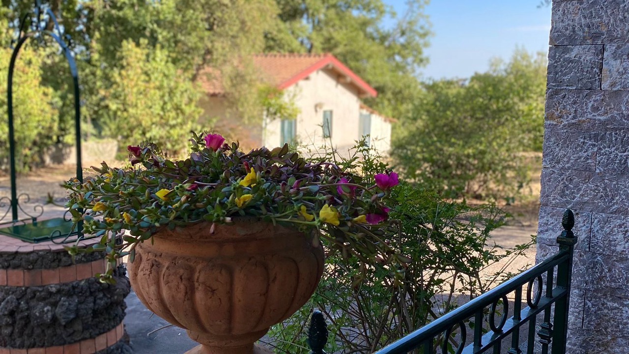 Photo of Outdoor in Viagrande