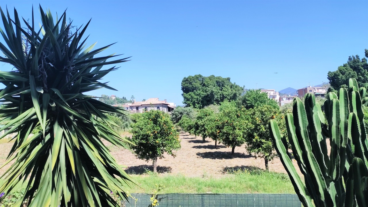 Photo of Outdoor in Chianchitta-Pallio