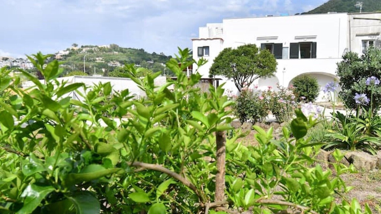Photo of Outdoor in Fiaiano