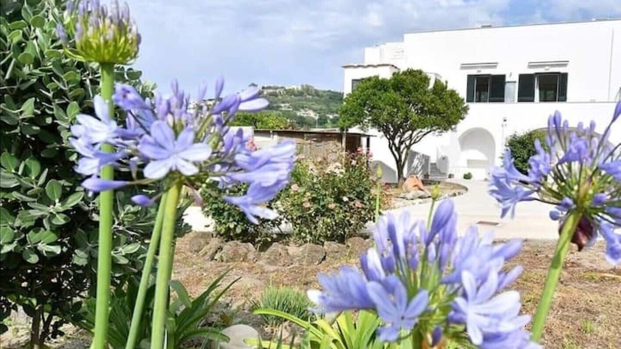 Photo of Outdoor in Fiaiano