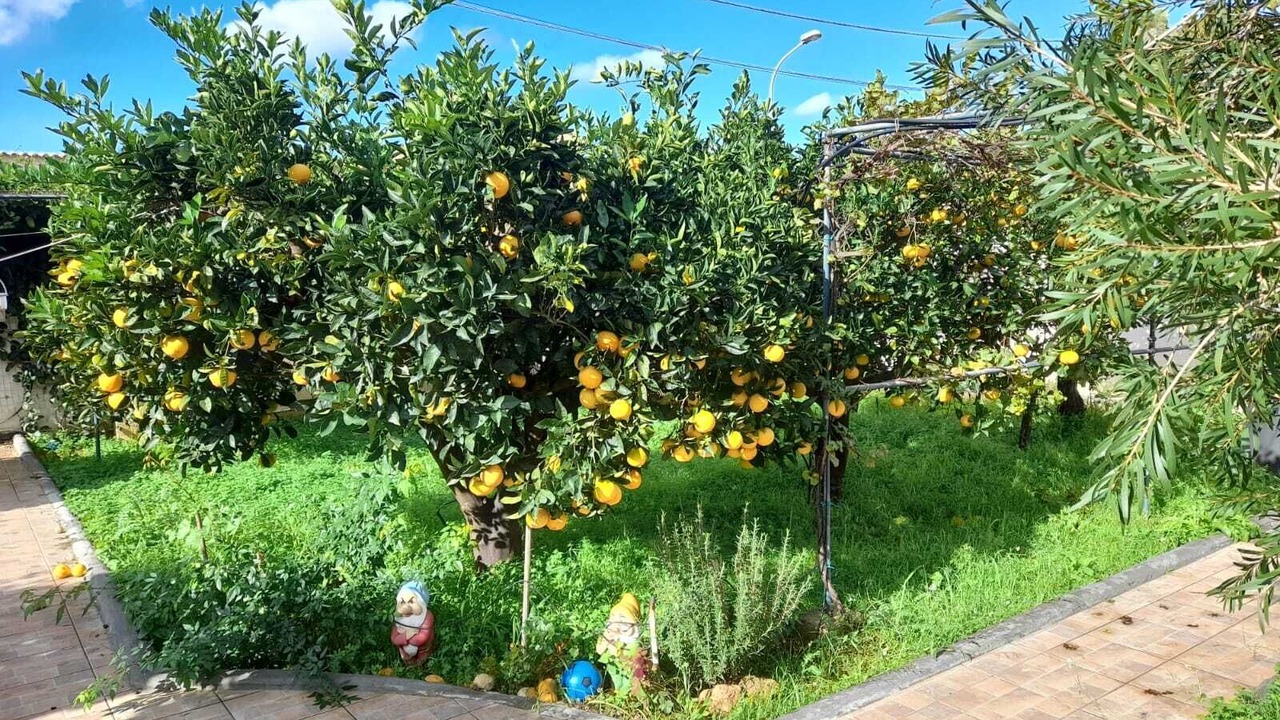 Photo of Outdoor in Tonnara di Bonagia