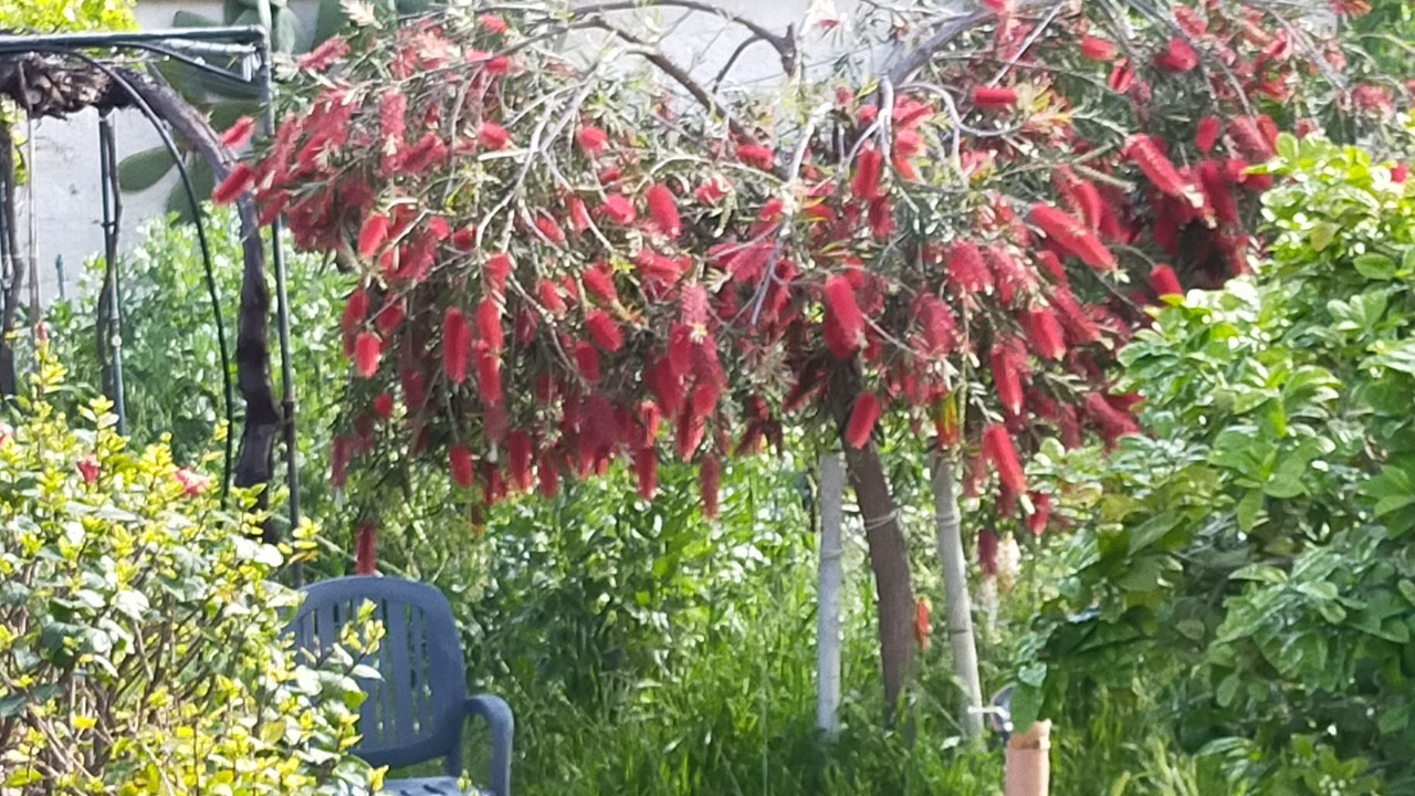 Photo of Outdoor in Tonnara di Bonagia